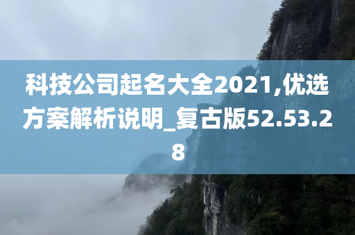 科技公司起名大全2021,优选方案解析说明_复古版52.53.28