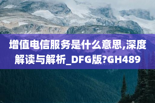 增值电信服务是什么意思,深度解读与解析_DFG版?GH489