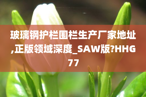 玻璃钢护栏围栏生产厂家地址,正版领域深度_SAW版?HHG77