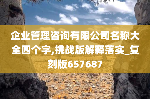 企业管理咨询有限公司名称大全四个字,挑战版解释落实_复刻版657687