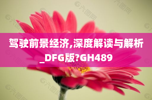 驾驶前景经济,深度解读与解析_DFG版?GH489