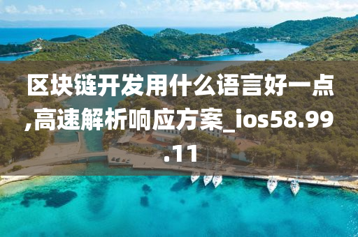 区块链开发用什么语言好一点,高速解析响应方案_ios58.99.11