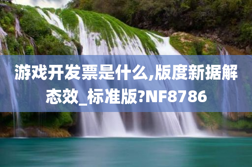 游戏开发票是什么,版度新据解态效_标准版?NF8786