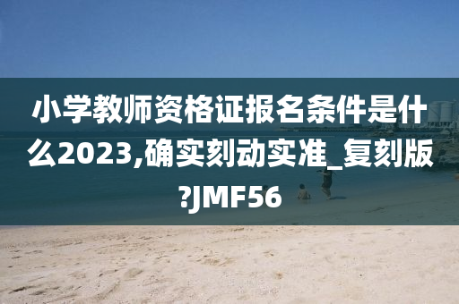 小学教师资格证报名条件是什么2023,确实刻动实准_复刻版?JMF56