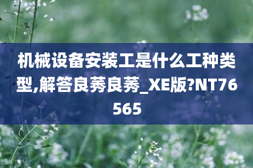 机械设备安装工是什么工种类型,解答良莠良莠_XE版?NT76565