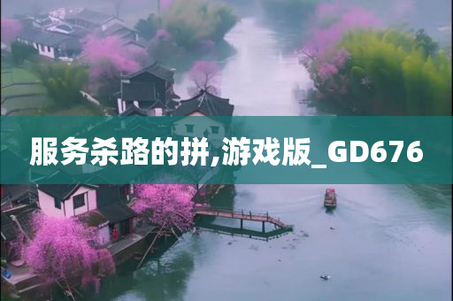 服务杀路的拼,游戏版_GD676