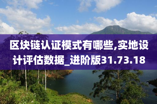 区块链认证模式有哪些,实地设计评估数据_进阶版31.73.18