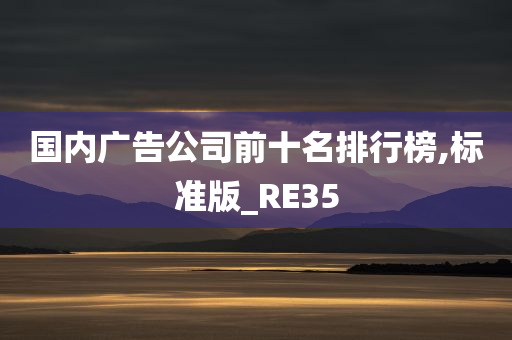 国内广告公司前十名排行榜,标准版_RE35