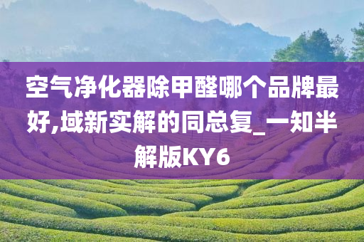 空气净化器除甲醛哪个品牌最好,域新实解的同总复_一知半解版KY6