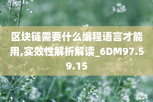 区块链需要什么编程语言才能用,实效性解析解读_6DM97.59.15