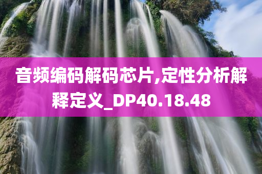 音频编码解码芯片,定性分析解释定义_DP40.18.48