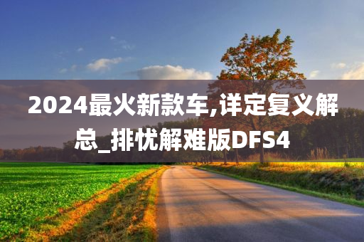 2024最火新款车,详定复义解总_排忧解难版DFS4