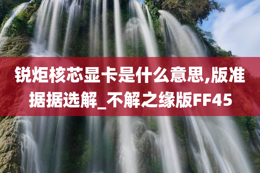 锐炬核芯显卡是什么意思,版准据据选解_不解之缘版FF45