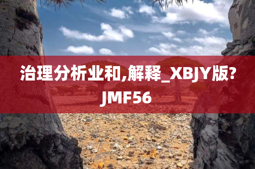 治理分析业和,解释_XBJY版?JMF56