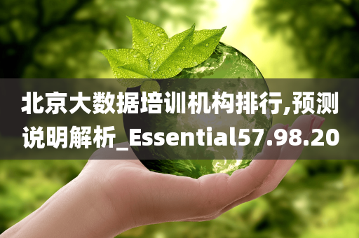 北京大数据培训机构排行,预测说明解析_Essential57.98.20