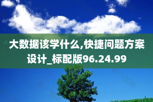 大数据该学什么,快捷问题方案设计_标配版96.24.99