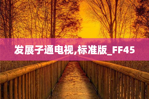 发展子通电视,标准版_FF45