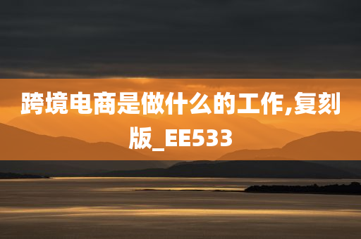 跨境电商是做什么的工作,复刻版_EE533