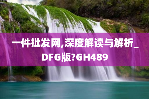 一件批发网,深度解读与解析_DFG版?GH489