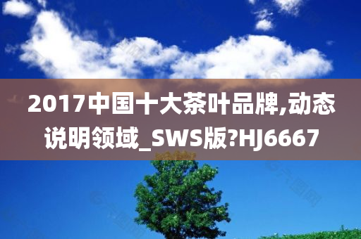 2017中国十大茶叶品牌,动态说明领域_SWS版?HJ6667