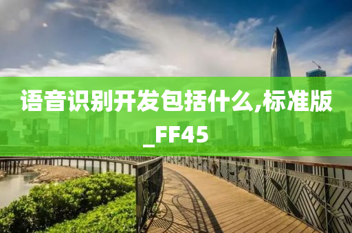 语音识别开发包括什么,标准版_FF45