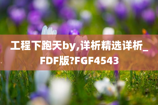 工程下跑天by,详析精选详析_FDF版?FGF4543