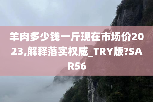 羊肉多少钱一斤现在市场价2023,解释落实权威_TRY版?SAR56