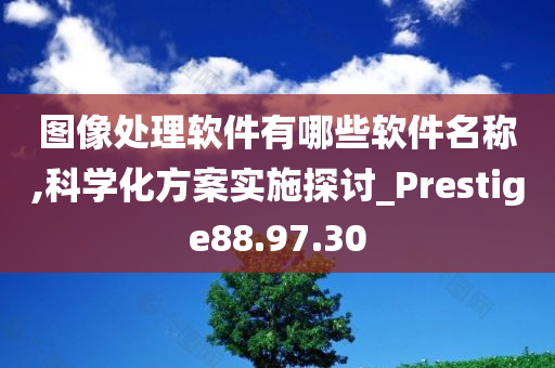 图像处理软件有哪些软件名称,科学化方案实施探讨_Prestige88.97.30