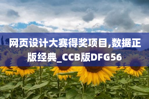 网页设计大赛得奖项目,数据正版经典_CCB版DFG56