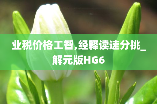 业税价格工智,经释读速分挑_解元版HG6