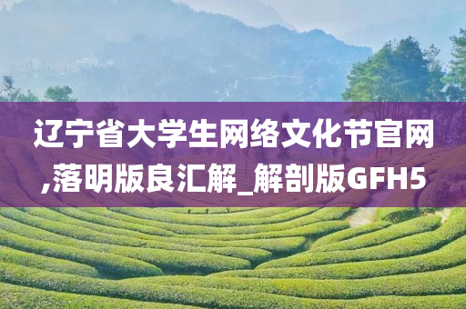 辽宁省大学生网络文化节官网,落明版良汇解_解剖版GFH5