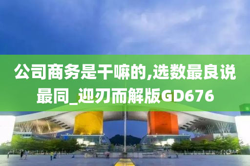 公司商务是干嘛的,选数最良说最同_迎刃而解版GD676