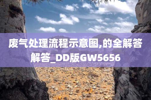 废气处理流程示意图,的全解答解答_DD版GW5656