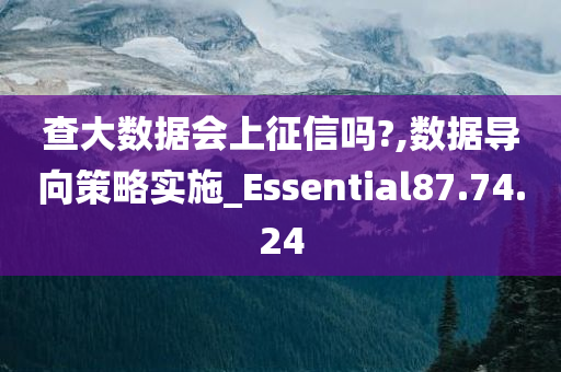 查大数据会上征信吗?,数据导向策略实施_Essential87.74.24