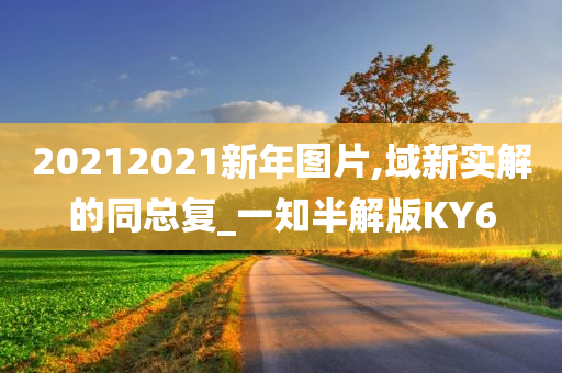 20212021新年图片,域新实解的同总复_一知半解版KY6