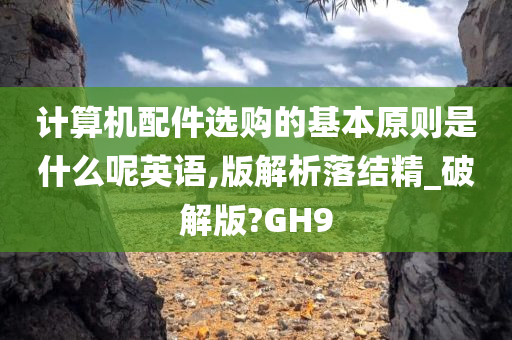 计算机配件选购的基本原则是什么呢英语,版解析落结精_破解版?GH9