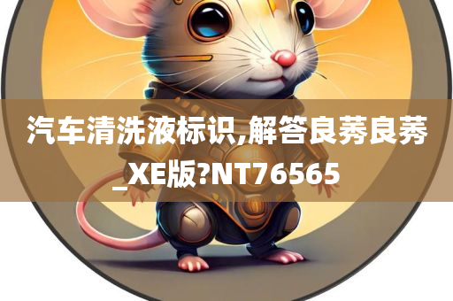 汽车清洗液标识,解答良莠良莠_XE版?NT76565