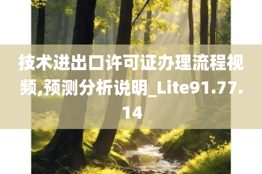 技术进出口许可证办理流程视频,预测分析说明_Lite91.77.14