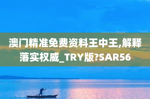 澳门精准免费资料王中王,解释落实权威_TRY版?SAR56