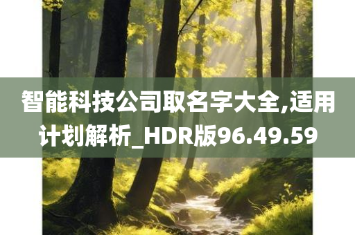 智能科技公司取名字大全,适用计划解析_HDR版96.49.59