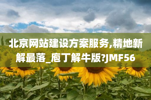 北京网站建设方案服务,精地新解最落_庖丁解牛版?JMF56