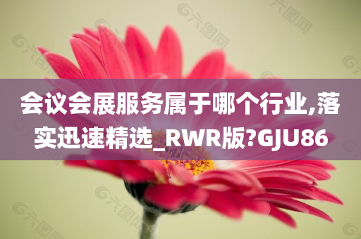 会议会展服务属于哪个行业,落实迅速精选_RWR版?GJU86