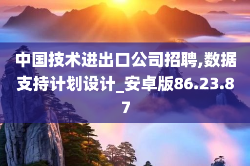 中国技术进出口公司招聘,数据支持计划设计_安卓版86.23.87