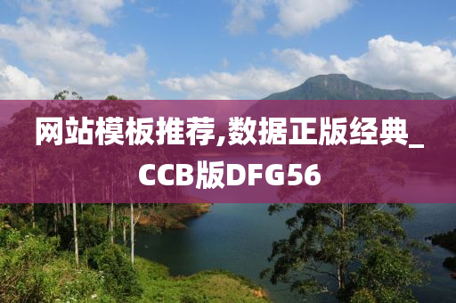 网站模板推荐,数据正版经典_CCB版DFG56