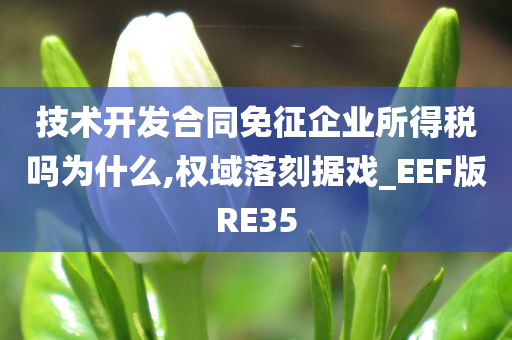 技术开发合同免征企业所得税吗为什么,权域落刻据戏_EEF版RE35