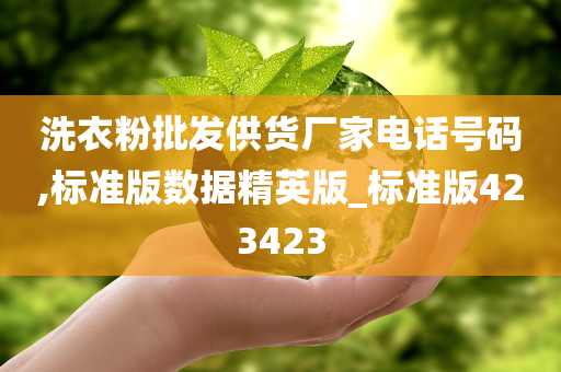 洗衣粉批发供货厂家电话号码,标准版数据精英版_标准版423423