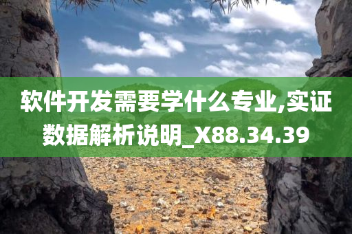 软件开发需要学什么专业,实证数据解析说明_X88.34.39