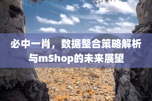 必中一肖，数据整合策略解析与mShop的未来展望