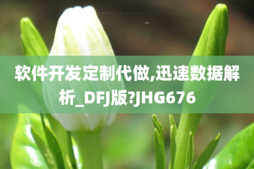 软件开发定制代做,迅速数据解析_DFJ版?JHG676