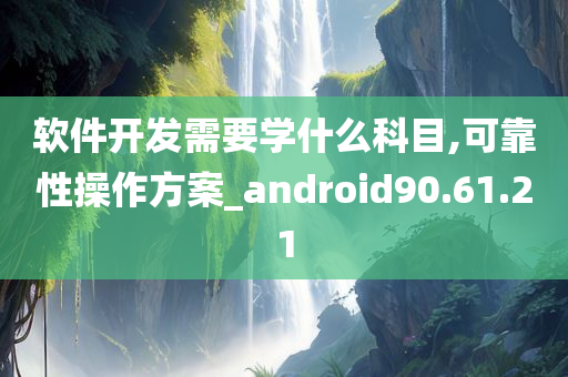 软件开发需要学什么科目,可靠性操作方案_android90.61.21